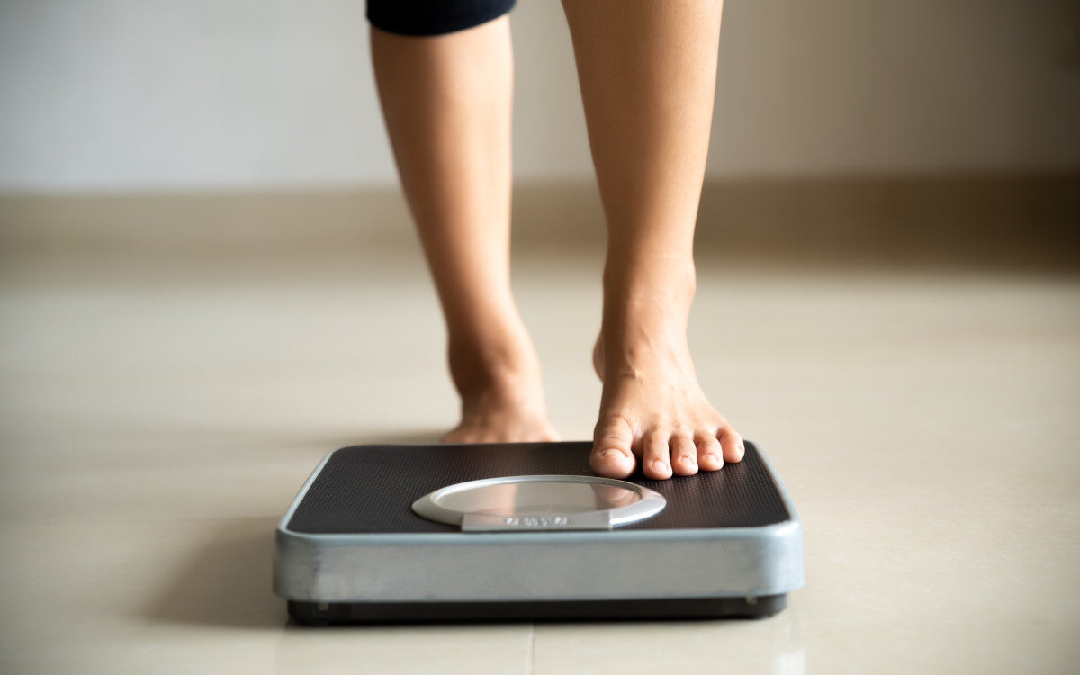 body weight scales